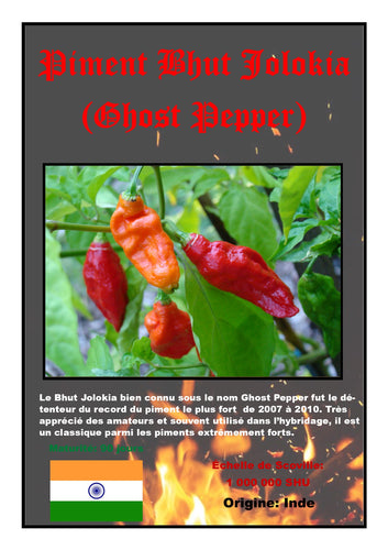 Graines de piment Dragon Feu - Prix €1.95