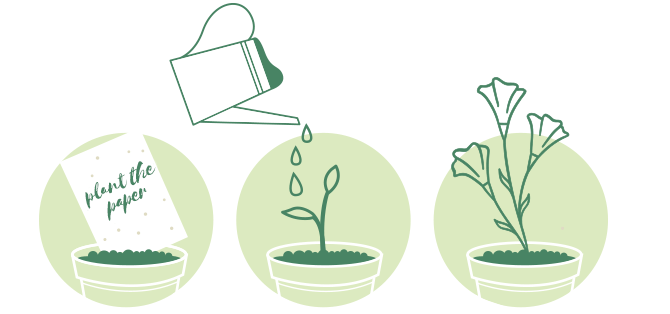 Planting-seed-paper-graphic-2