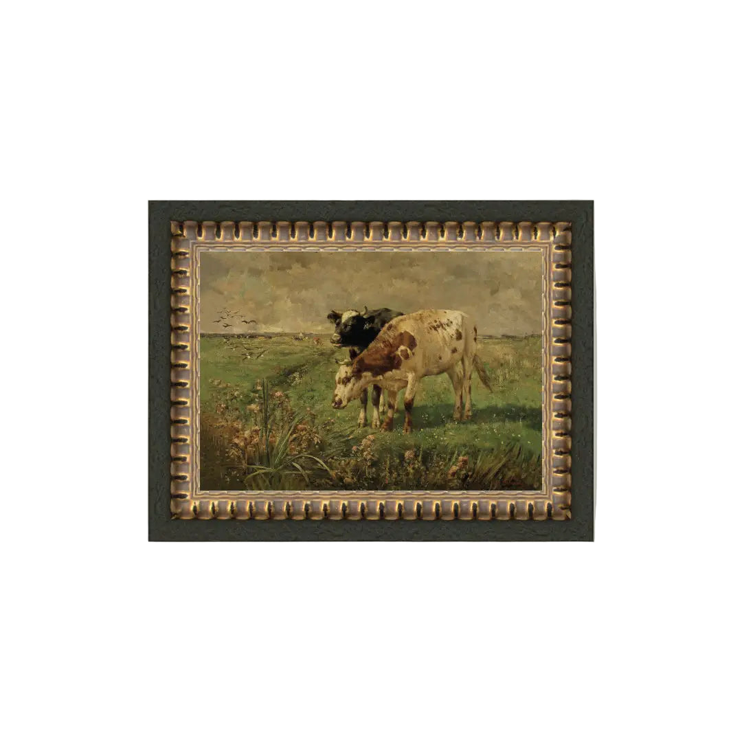 Black And Brown Cows 7 x 5