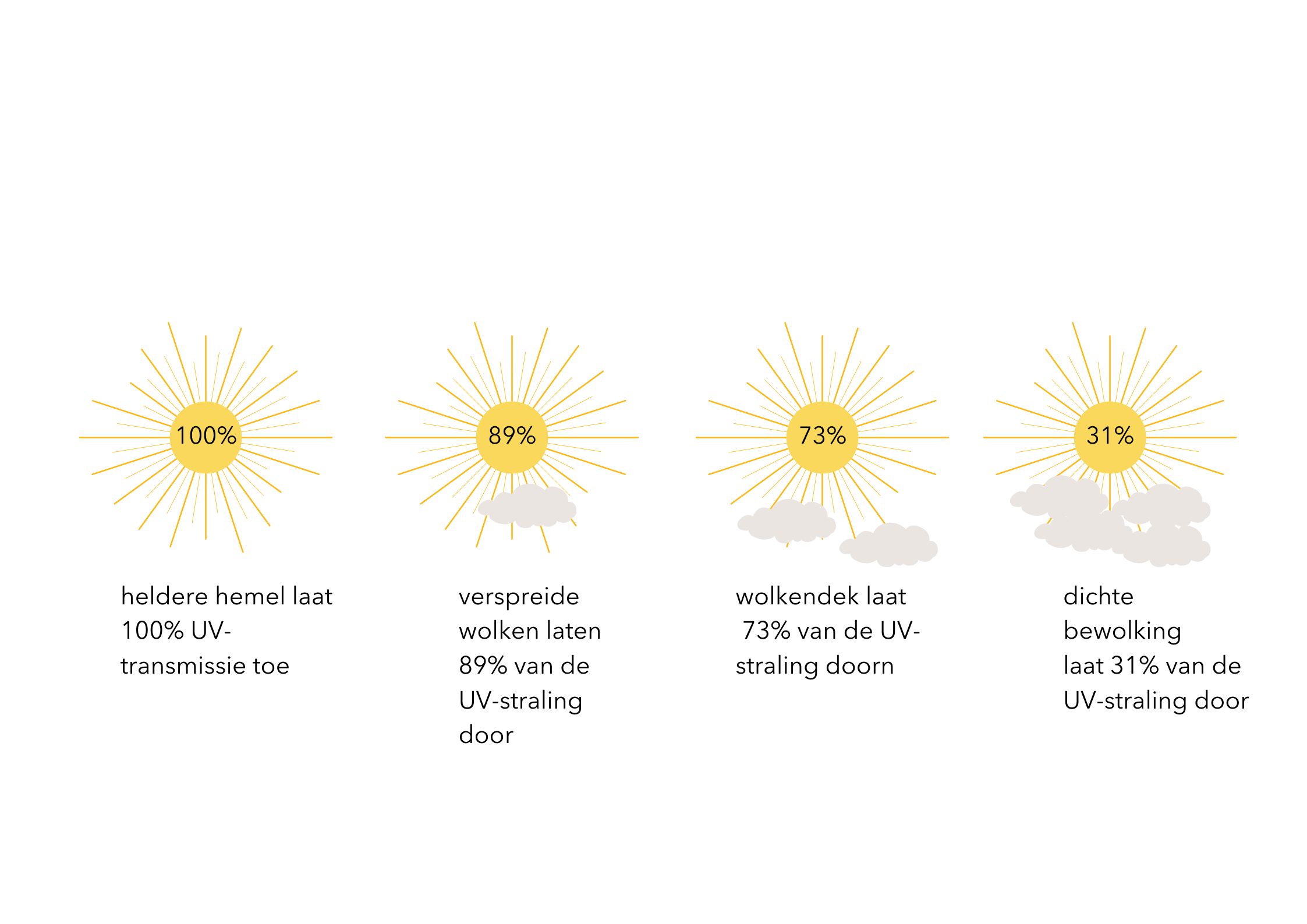 Scratch_of_Sun_Scientific_Contents.png