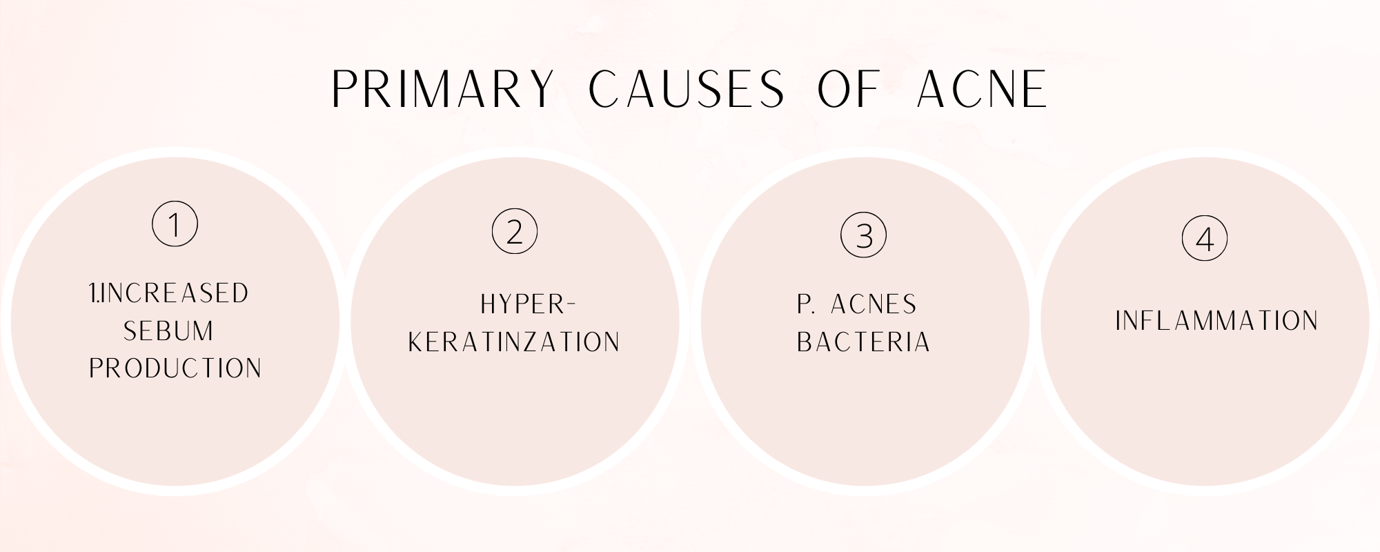 primary-causes-of-acne.png