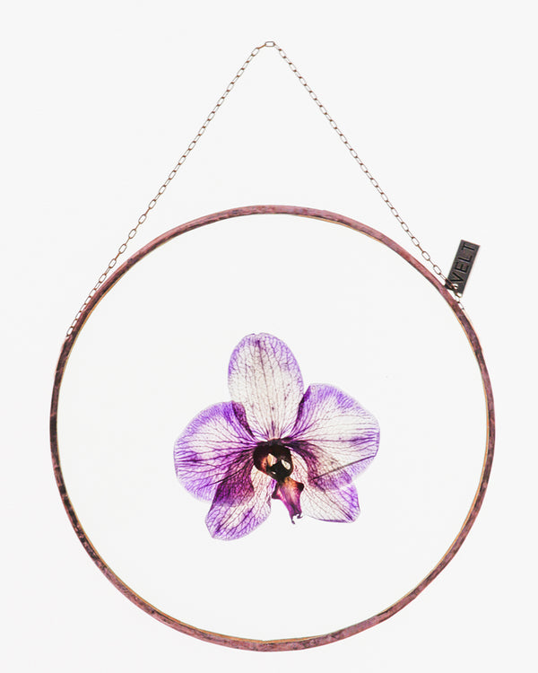 Orchid Blooms | Large Round