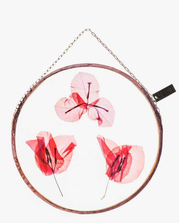 Bougainvillea Summer | Small Round