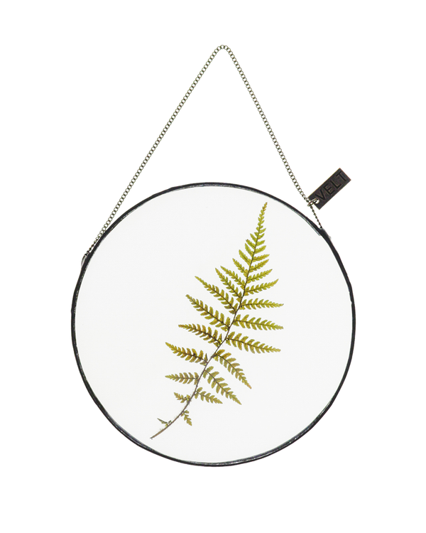 Life with Ferns | Small Round
