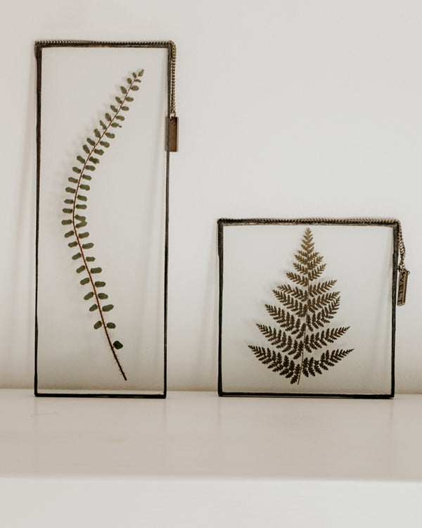 Life with Ferns | Rectangle