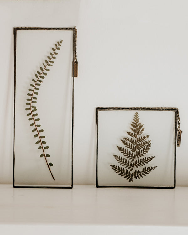 Life with Ferns | Small Square