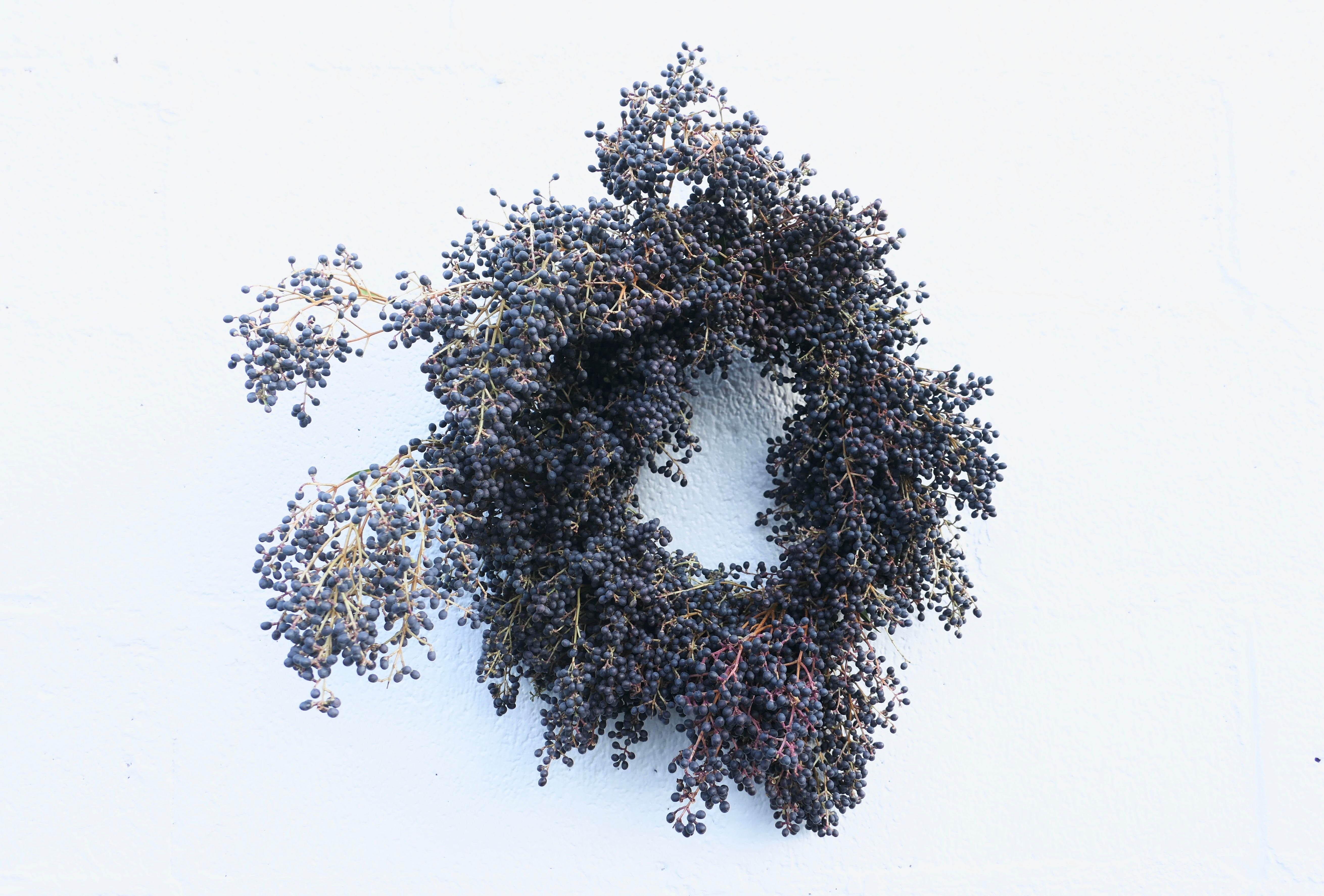 Send Wreaths Nationwide – Privet Berry Wreaths handmade by Fieldwork Flowers near Portland, Oregon