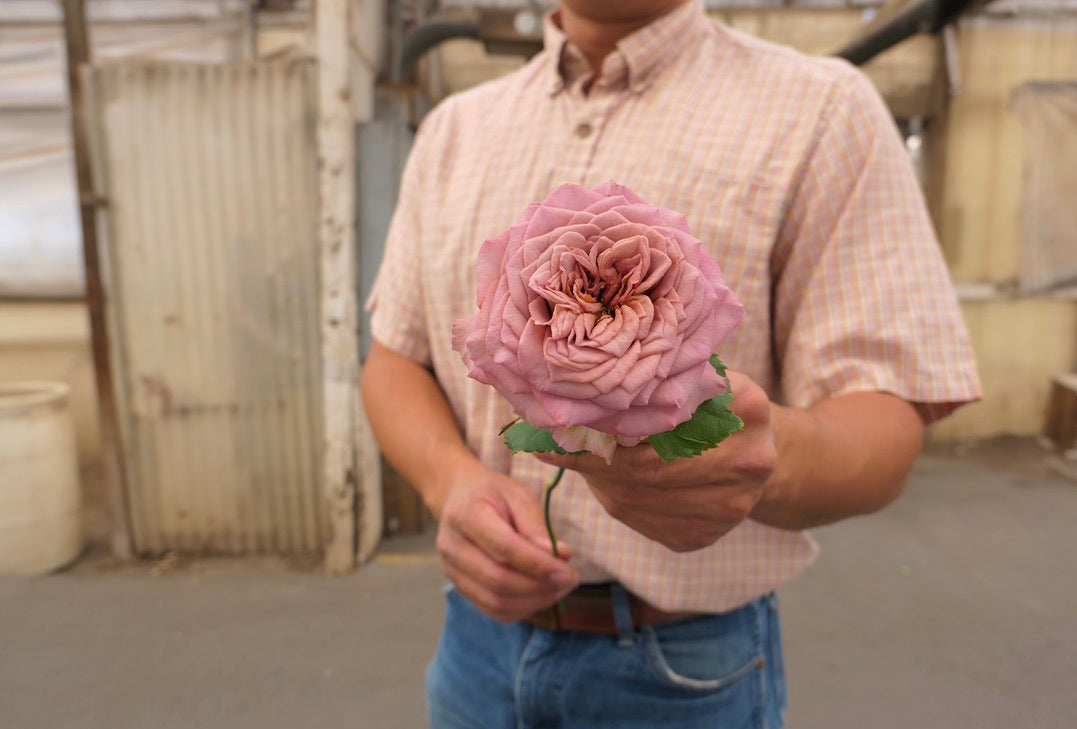 Santa Barbara wedding flowers by Fieldwork Flowers. Green Valley Garden Roses.