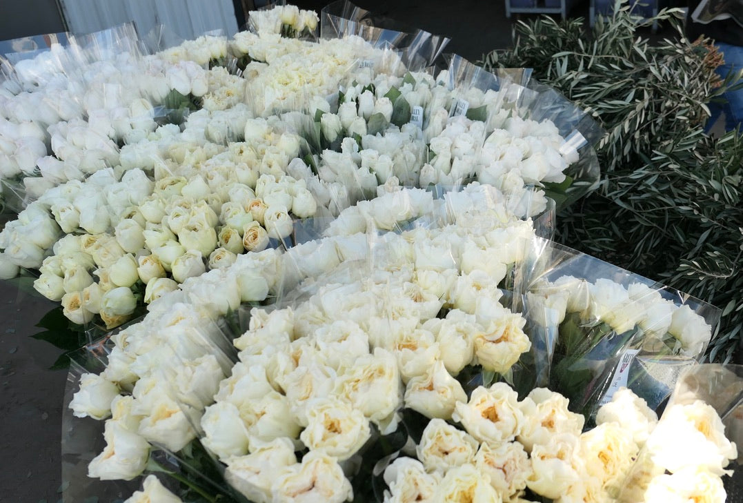 Santa Barbara wedding flowers by Fieldwork Flowers. Green Valley Garden Roses.