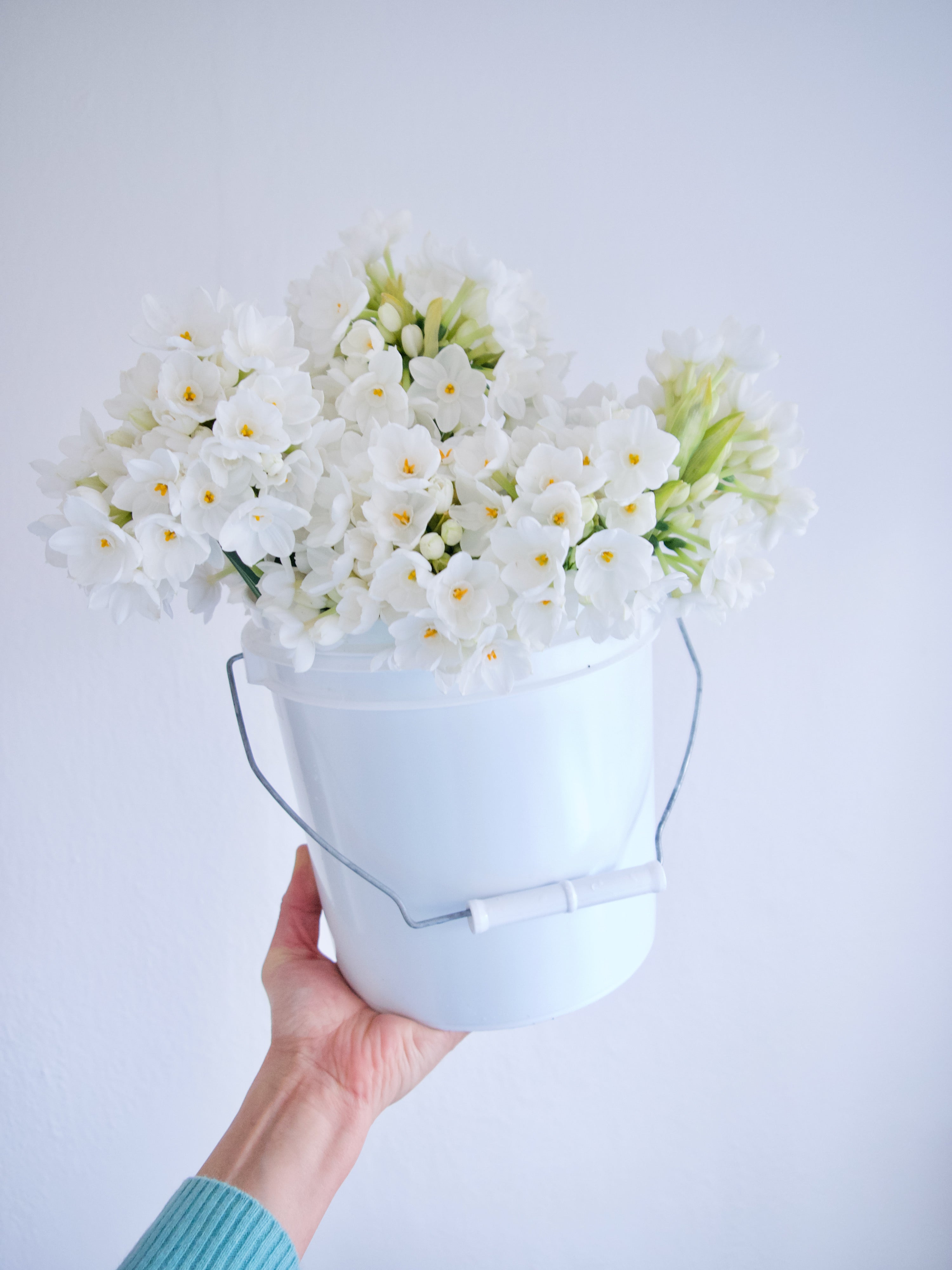 Paperwhites | Locally Grown Flowers | Vancouver Florists Delivery | Portland Florists Delivery | Send Flowers Online