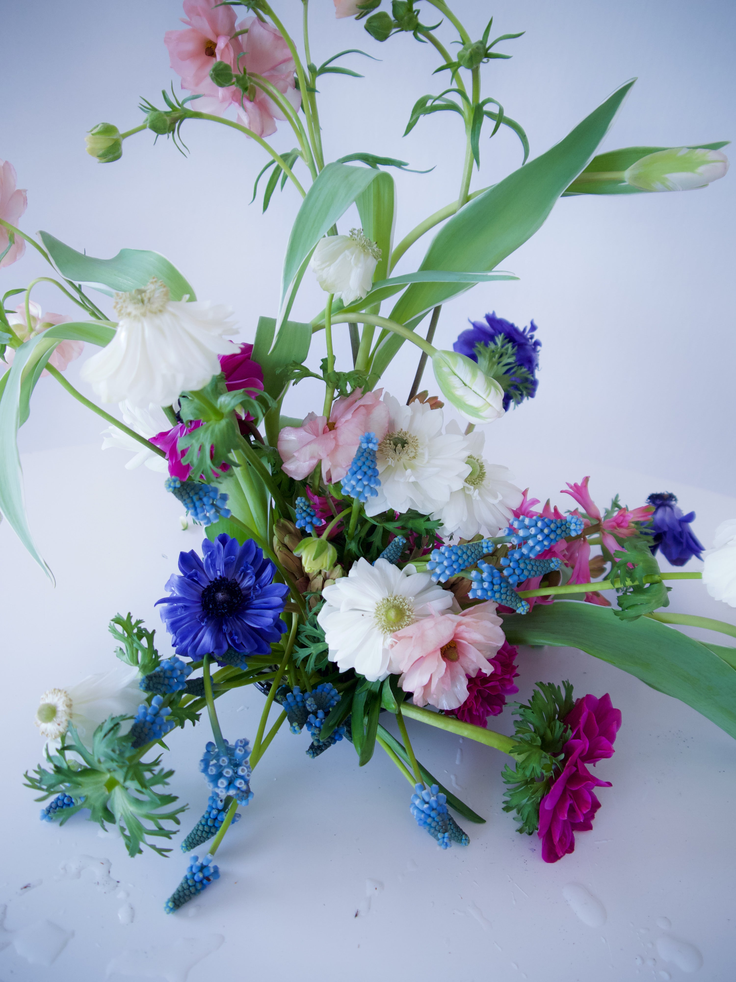 Ranunculus, anemones, hyacinth, tulips - seasonal flowers. Portland flower delivery.