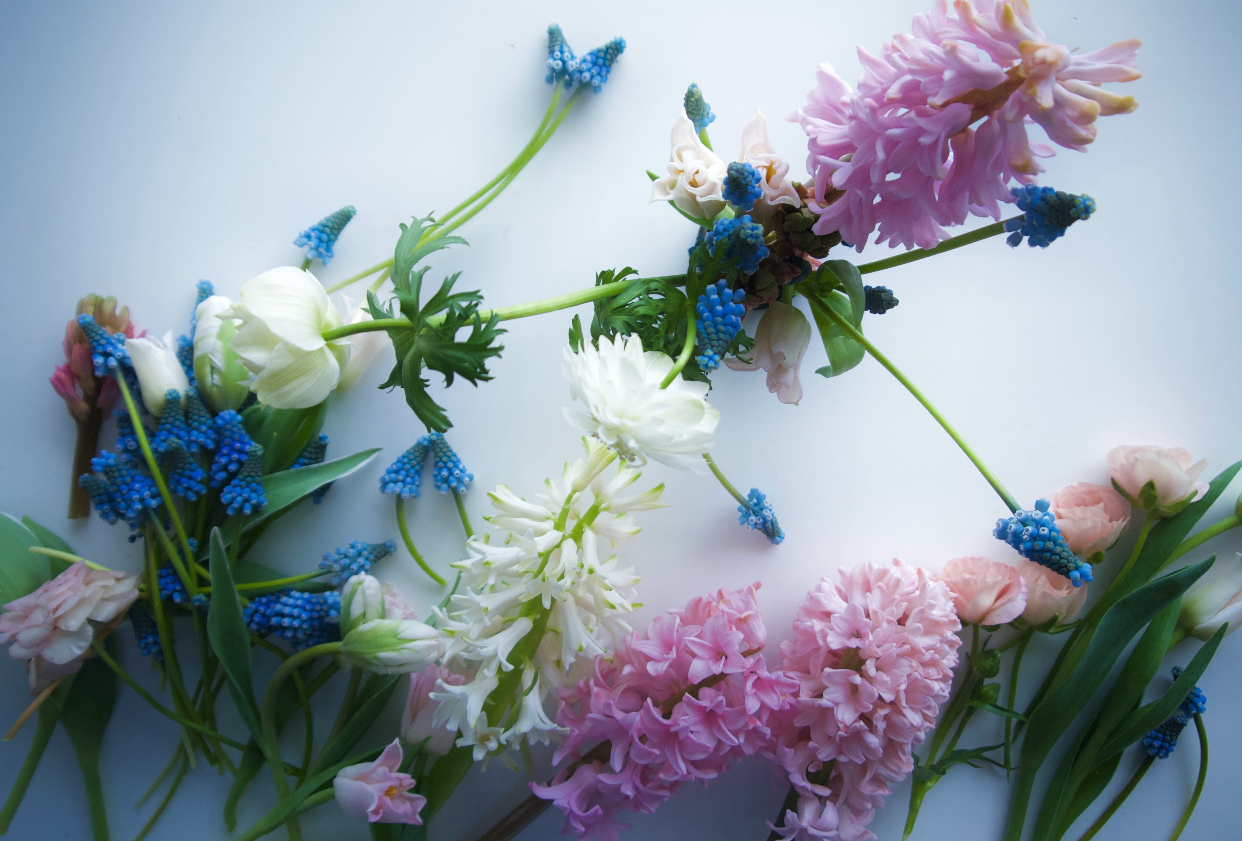 DIY Fieldwork Wedding Flowers | Seasonal bulk flowers. Portland flower delivery + ship Nationwide.