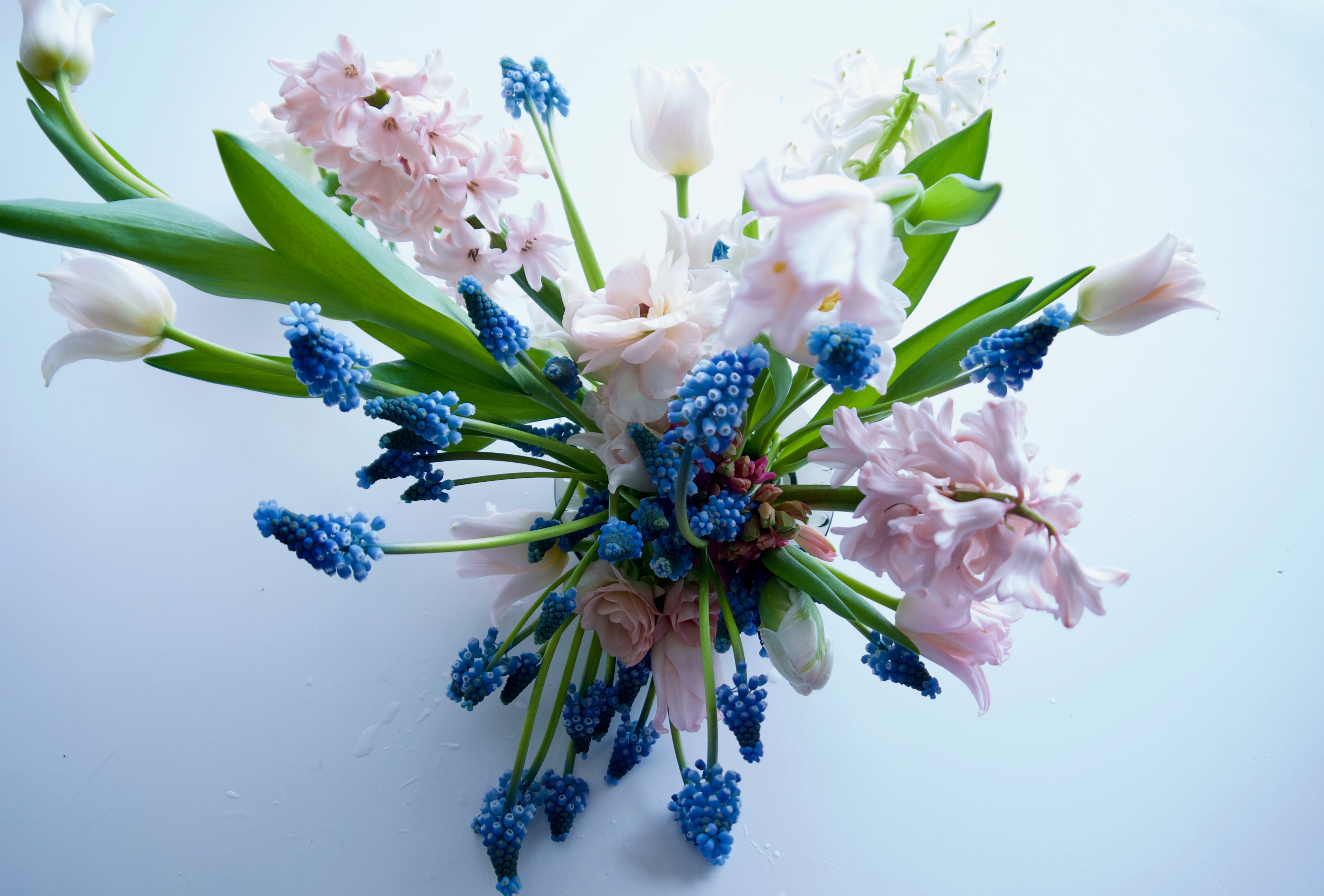 DIY Fieldwork Wedding Flowers | Seasonal bulk flowers. Portland flower delivery + ship Nationwide.