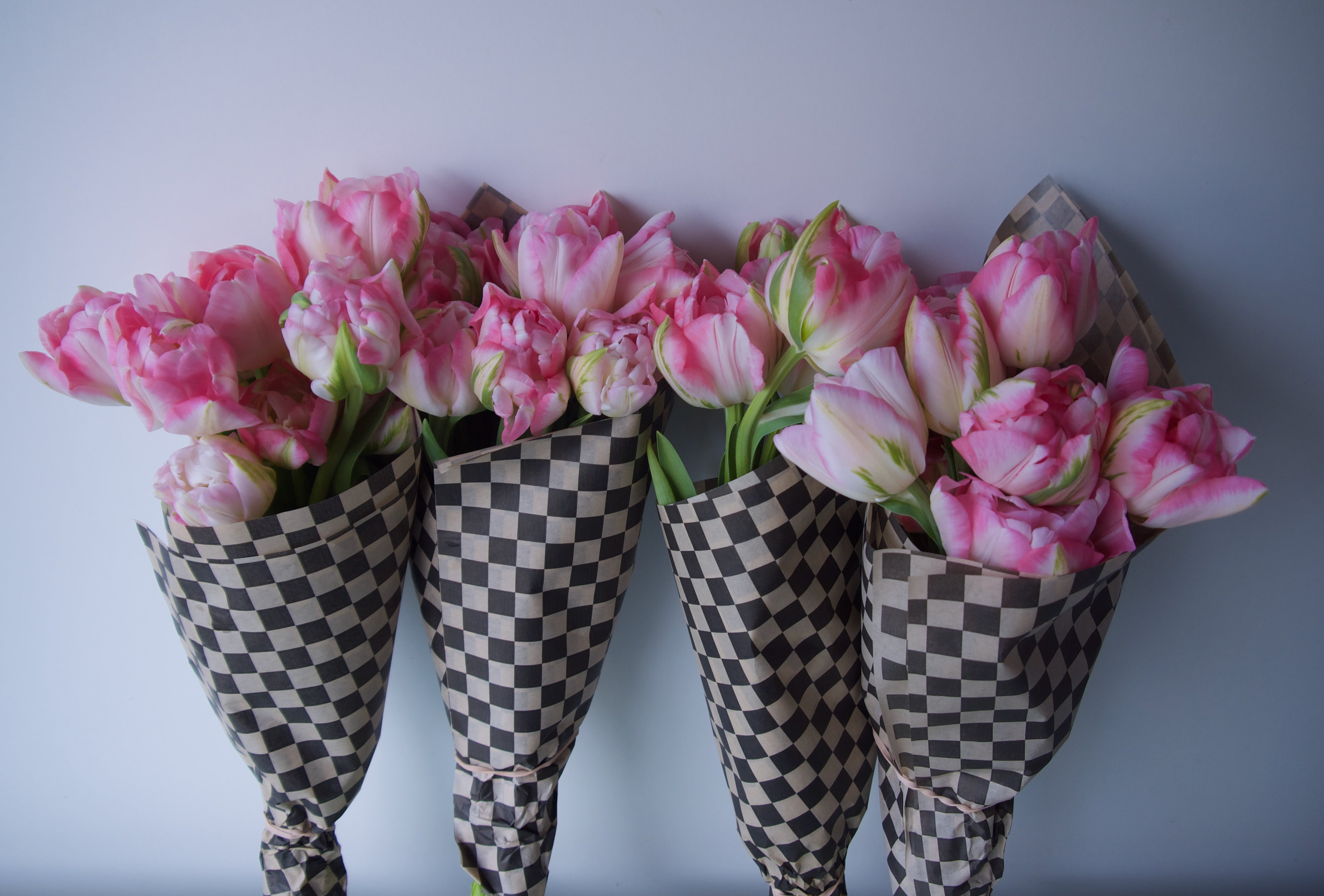 Tulips | Locally Grown Flowers | Vancouver Portland Florists Delivery | Fieldwork Flowers