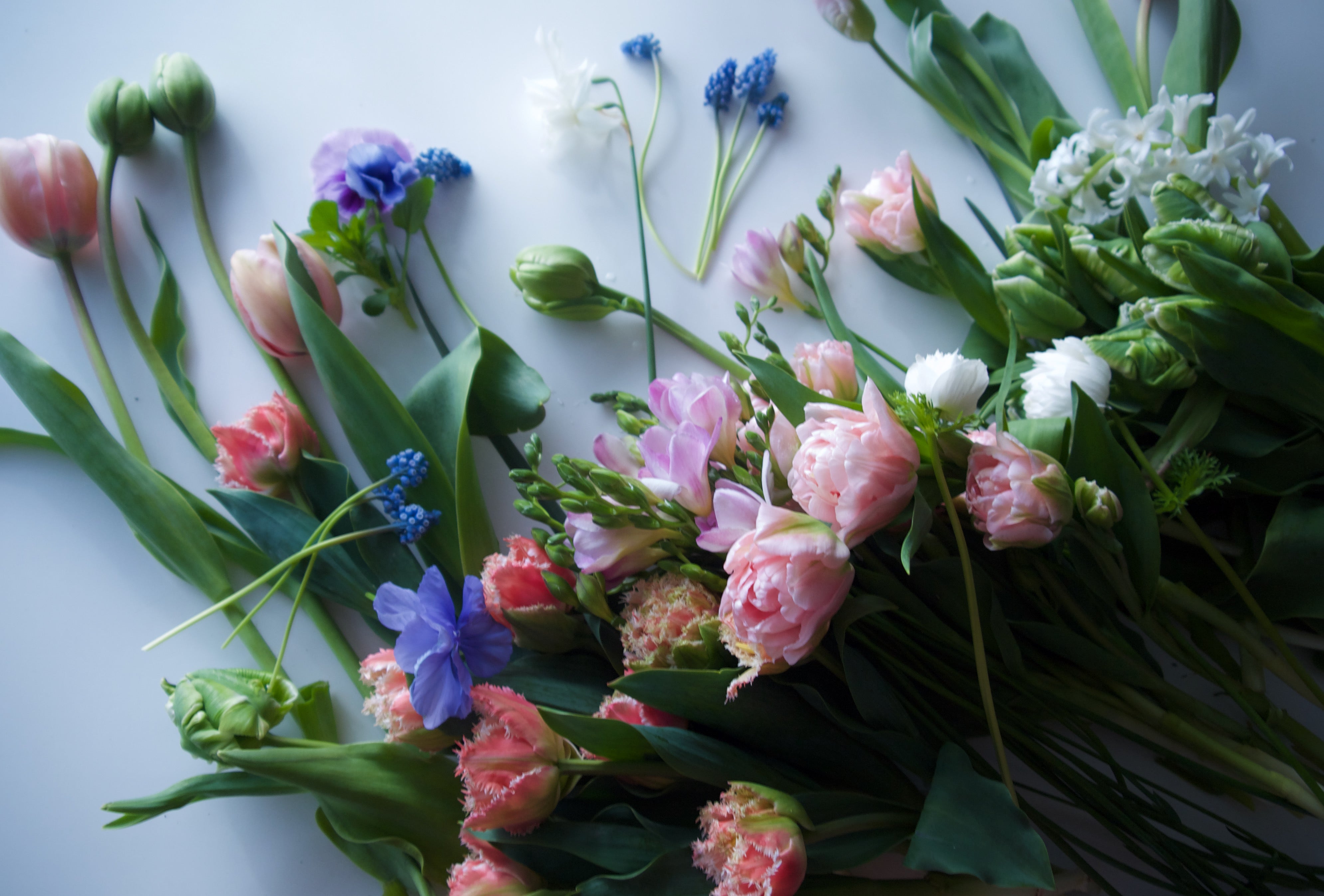 Locally grown flowers. Portland Oregon florist. Fieldwork.