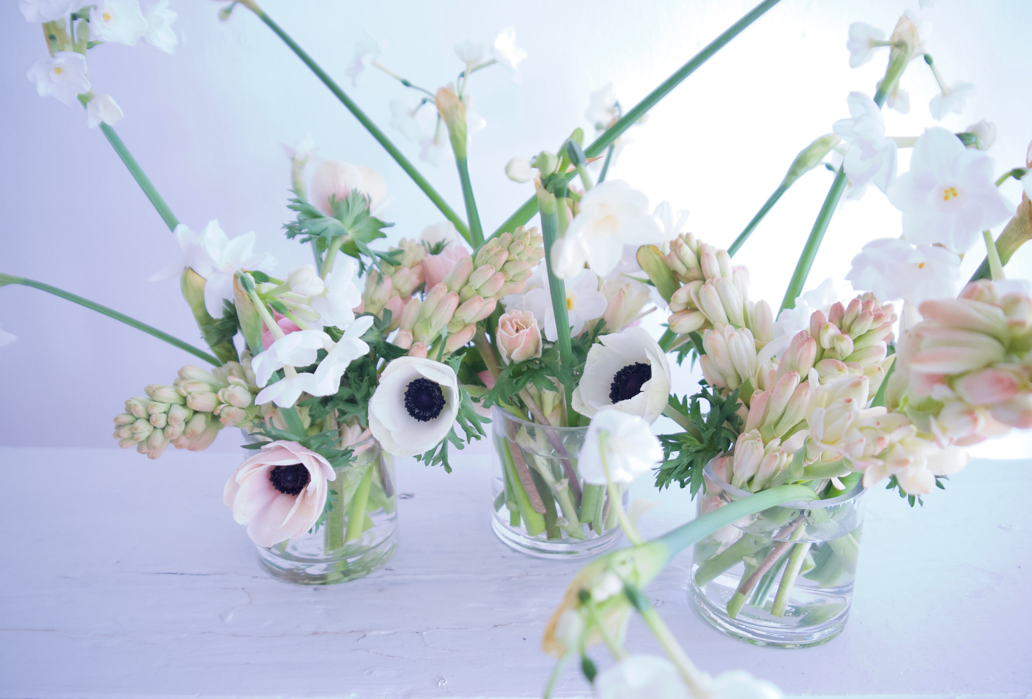 Anemones. Tuberose. Paperwhites. Send Valentine's Day Flowers. Vancouver Florists. Fieldwork Flowers.
