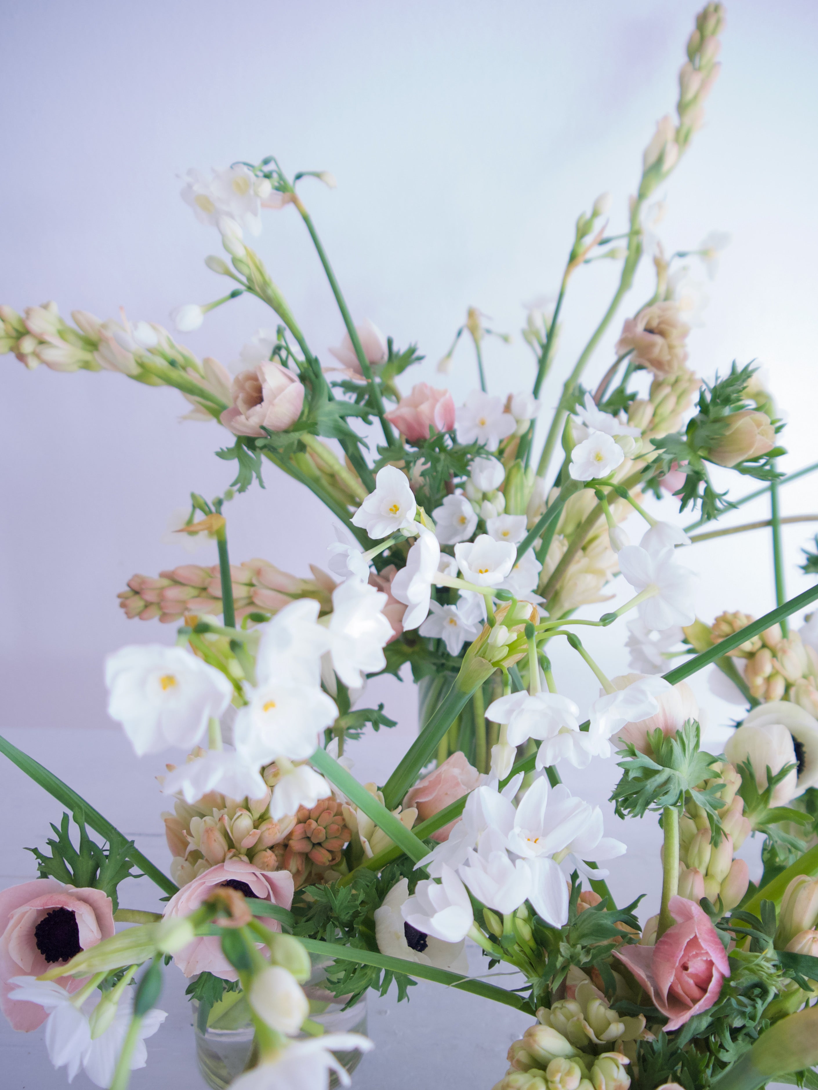 Anemones. Tuberose. Paperwhites. Send Valentine's Day Flowers. Vancouver Florists. Fieldwork Flowers.