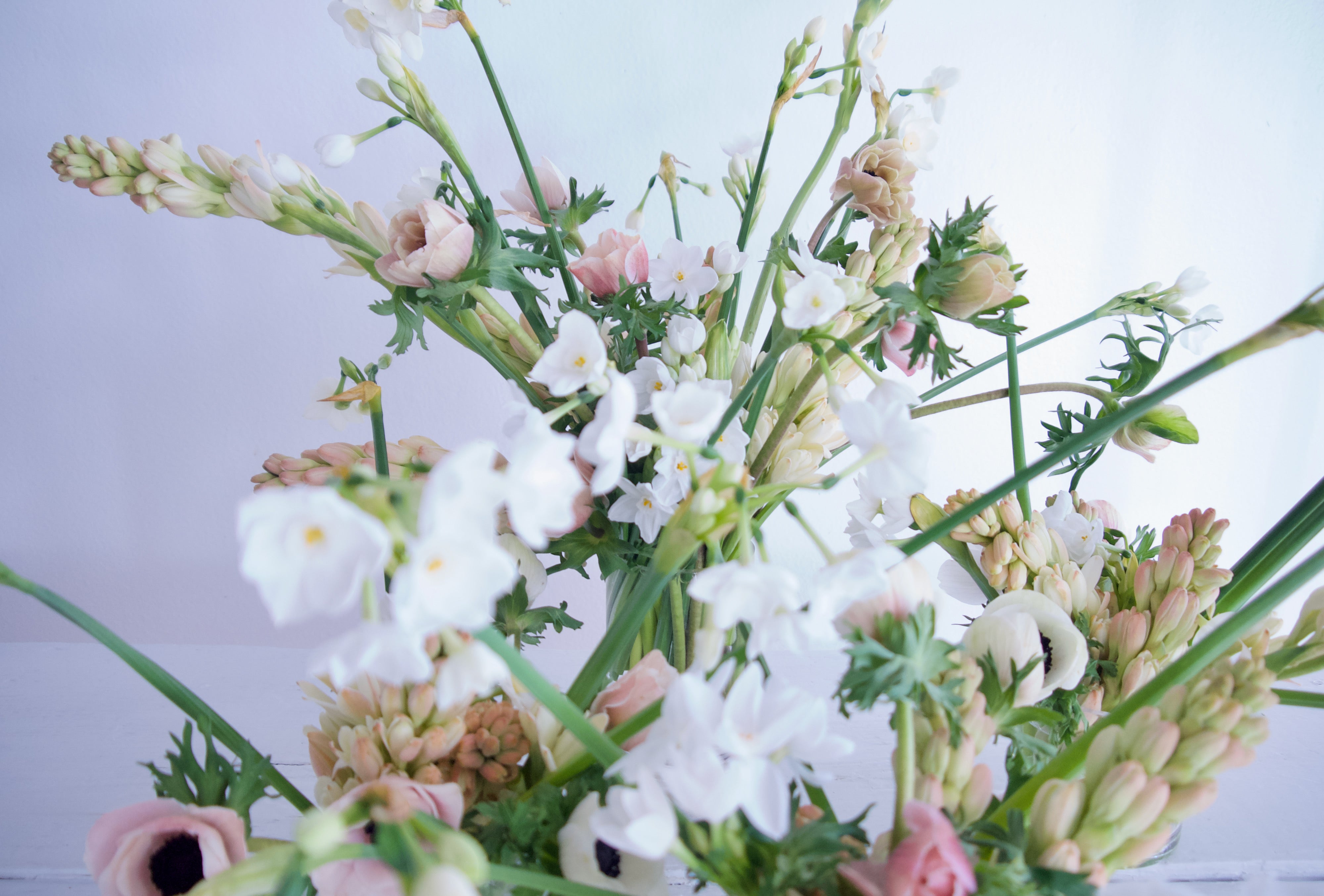 Anemones. Tuberose. Paperwhites. Send Valentine's Day Flowers. Vancouver Florists. Fieldwork Flowers.