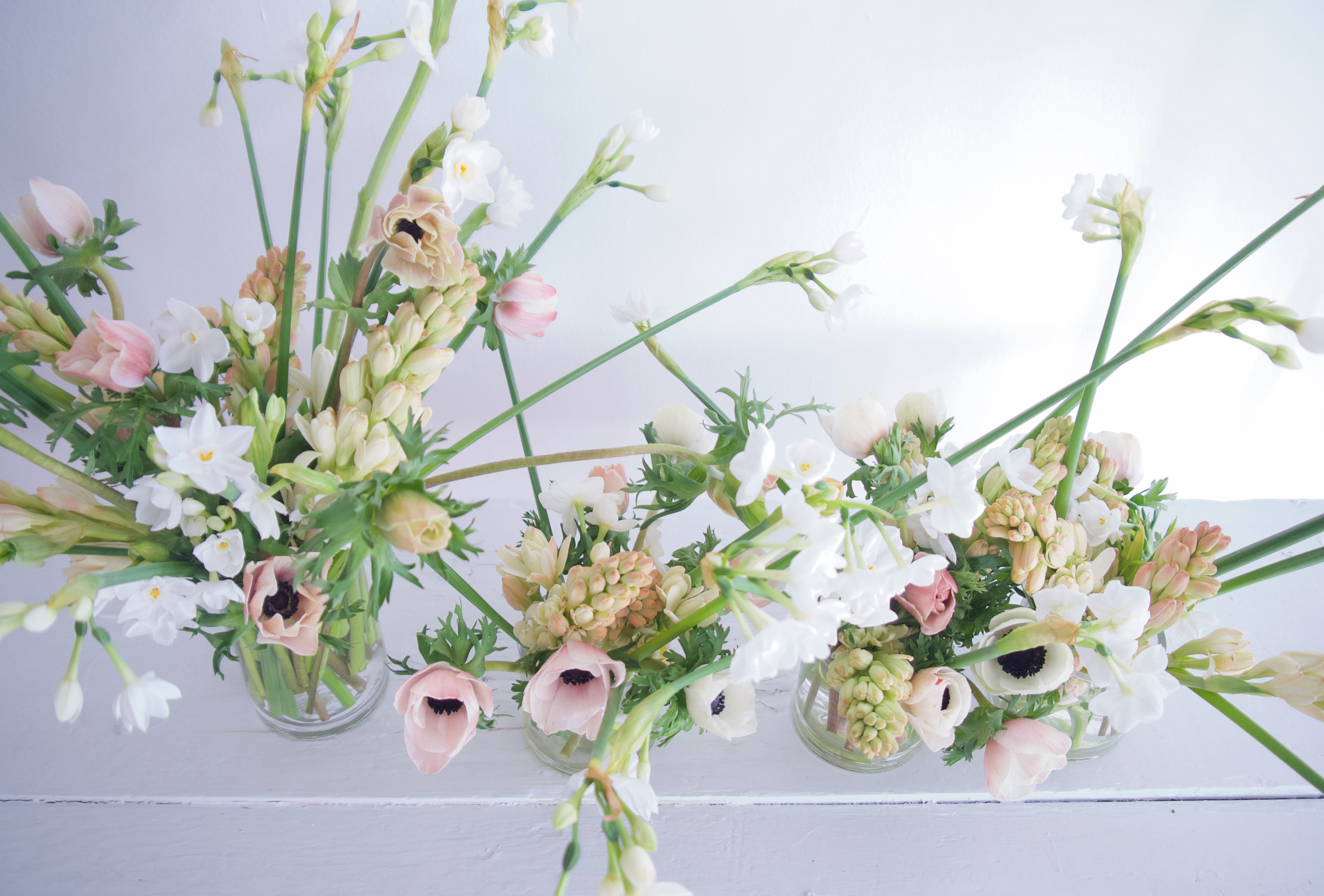 Anemones. Tuberose. Paperwhites. Send Valentine's Day Flowers. Vancouver Florists. Fieldwork Flowers.