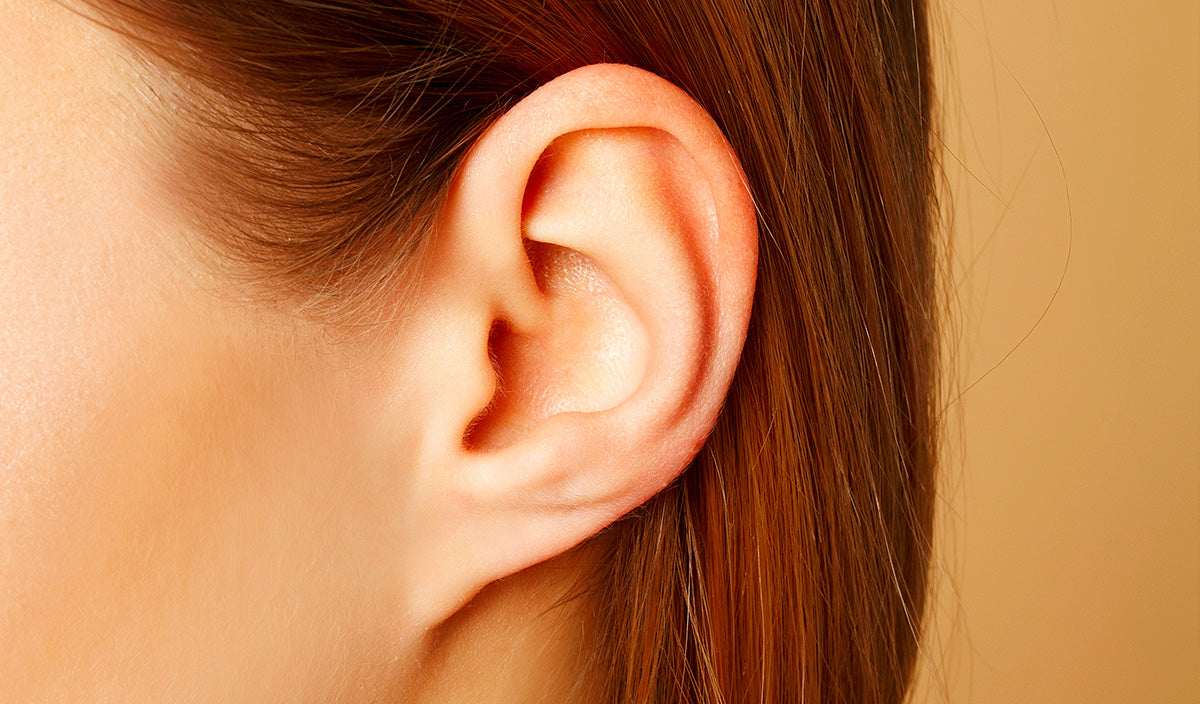 human-ear-anatomy