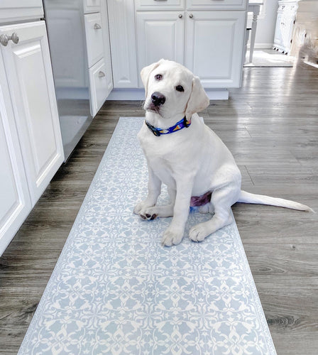 Explore Pet Friendly Mats Collection for Homes – V-MatBlog – VMAT