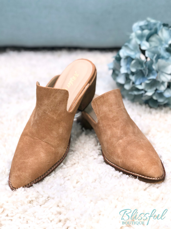 pointed block heel mules