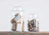 Olivia Glass Containers, HOM , Storage, Creative Co-Op @feelathom