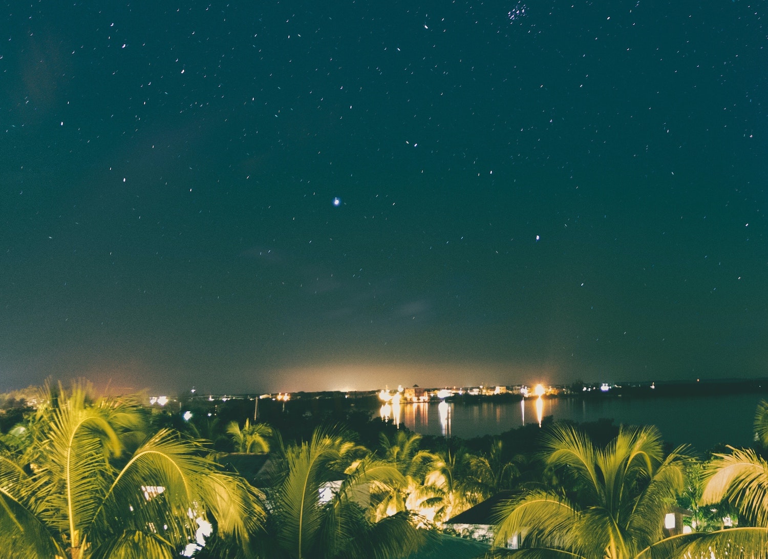 the star night sky in belize with city lights glowing and palm trees swaying