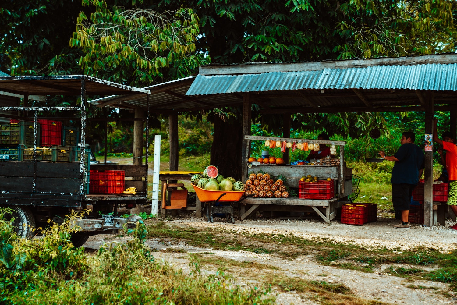 a colourful fruit stand in belize