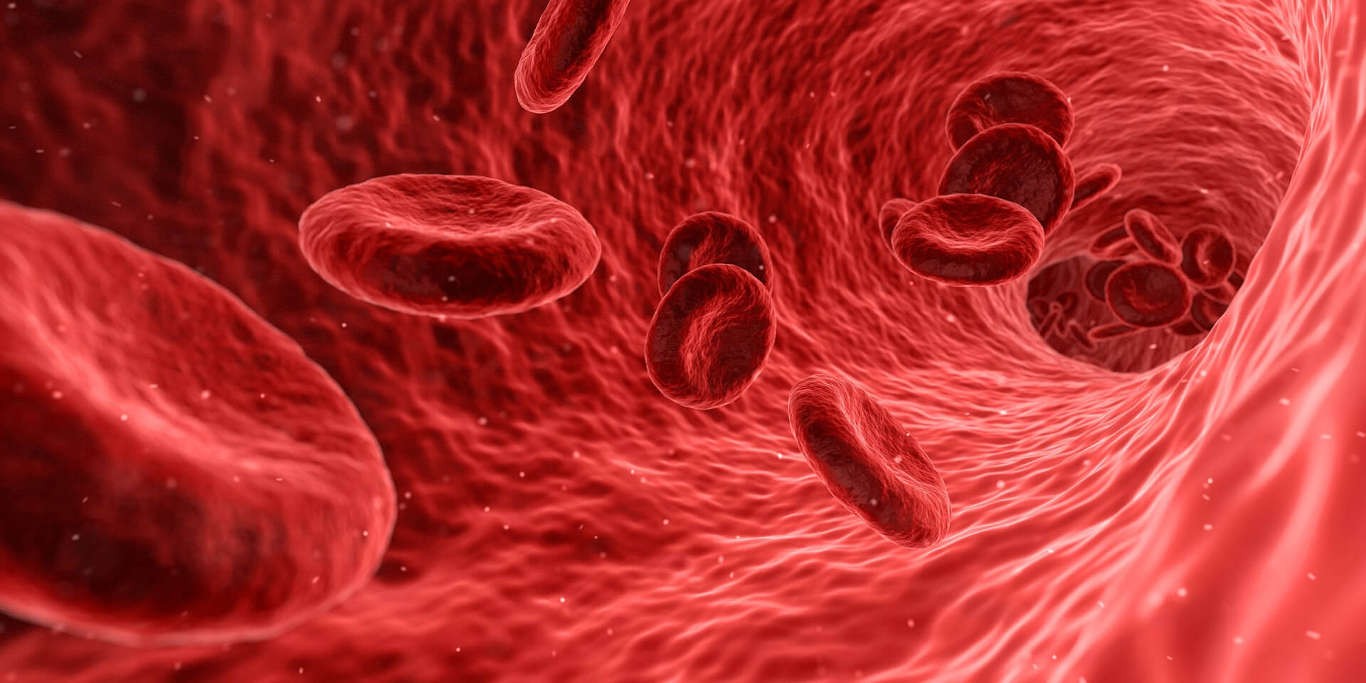 Chitosan fibers attract red blood cells with their positive charge. These red blood cells bind to the chitosan gauze to seal the wound which controls bleeding and promotes healing.