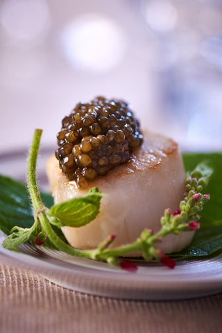 platos con caviar, mejores acompañamientos para el caviar, como comer caviar, caviar beluga irani, mejor caviar del mundo, caviar, caviar en españa