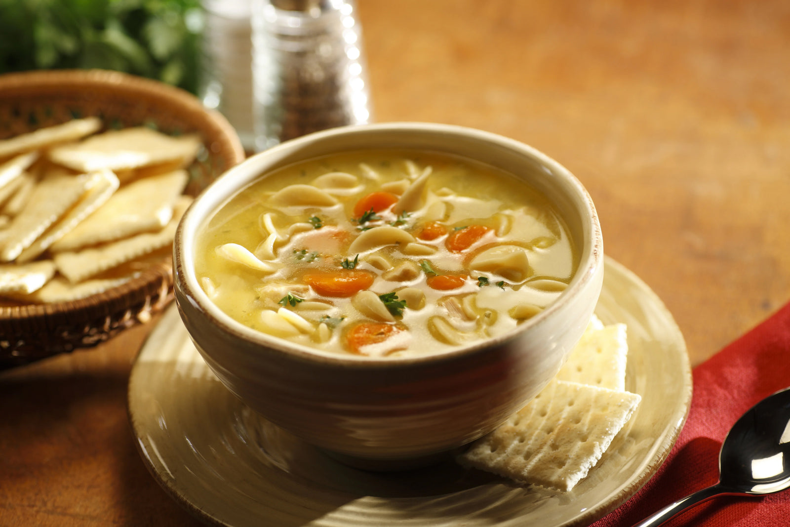 classic chicken noodle soup recipe