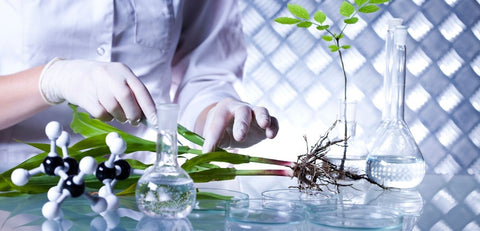 Labor mit Pflanzen