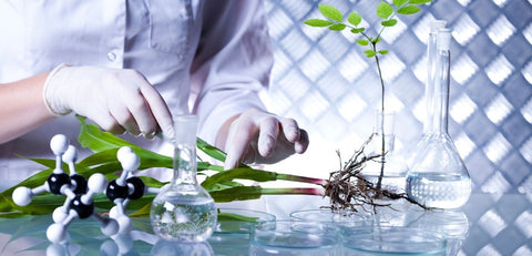 laboratory with plants