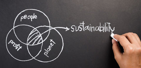 Equilibrium Sustainability