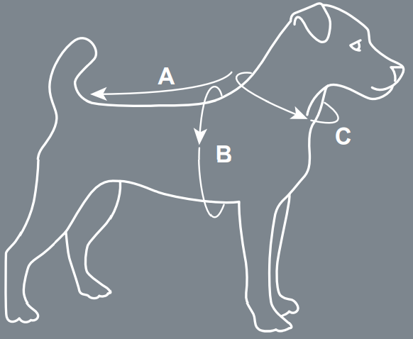 PLD - Pet Size Chart Image