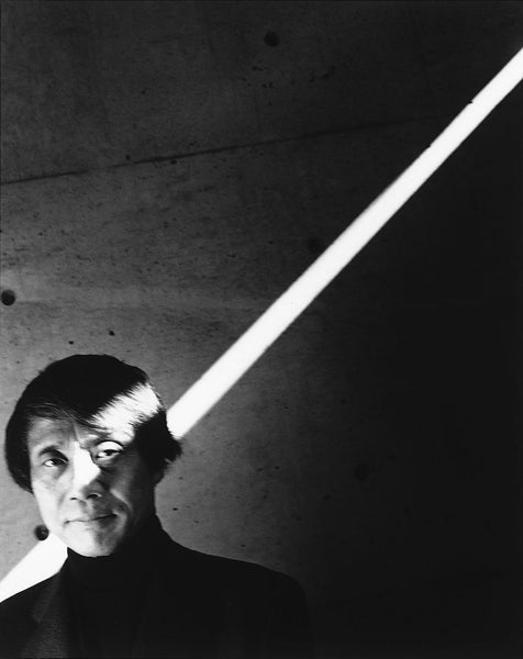 Tadao Ando : minimalisme et lumière dans l'architecture en béton - dans le gris