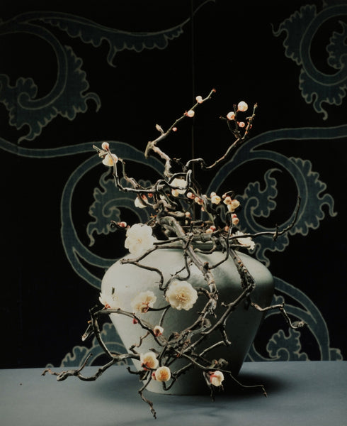 Ikebana Elegance: The Beauty of Japanese Flower Arranging Art - dans le gris