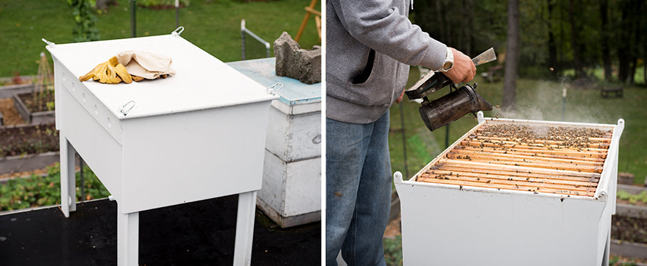 modern beehive made of recycled hdpe