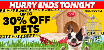 pets website banner.jpg