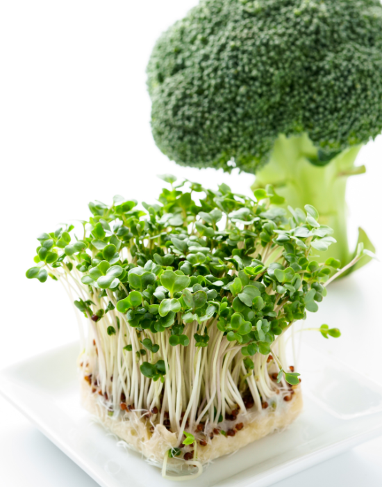 FourHealth_Benefits_Sulforaphane_Green_Supplement_5