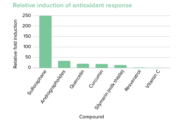 Antioxidants_Response_Sulforaphane