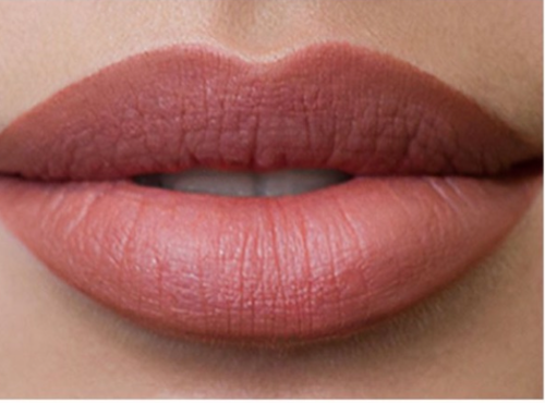 Buy Spdoo 12Pcs Nude Colors Lipstick Long Lasting Moisturizing Mini  Lipsticks Set Online at desertcartCyprus