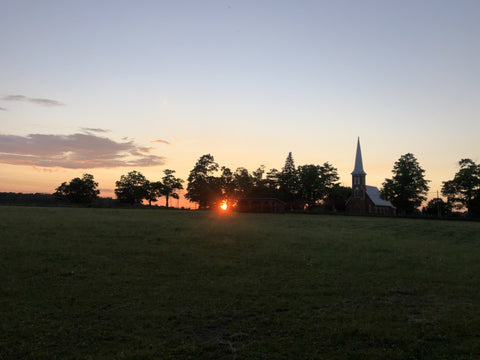 Sunset in Field