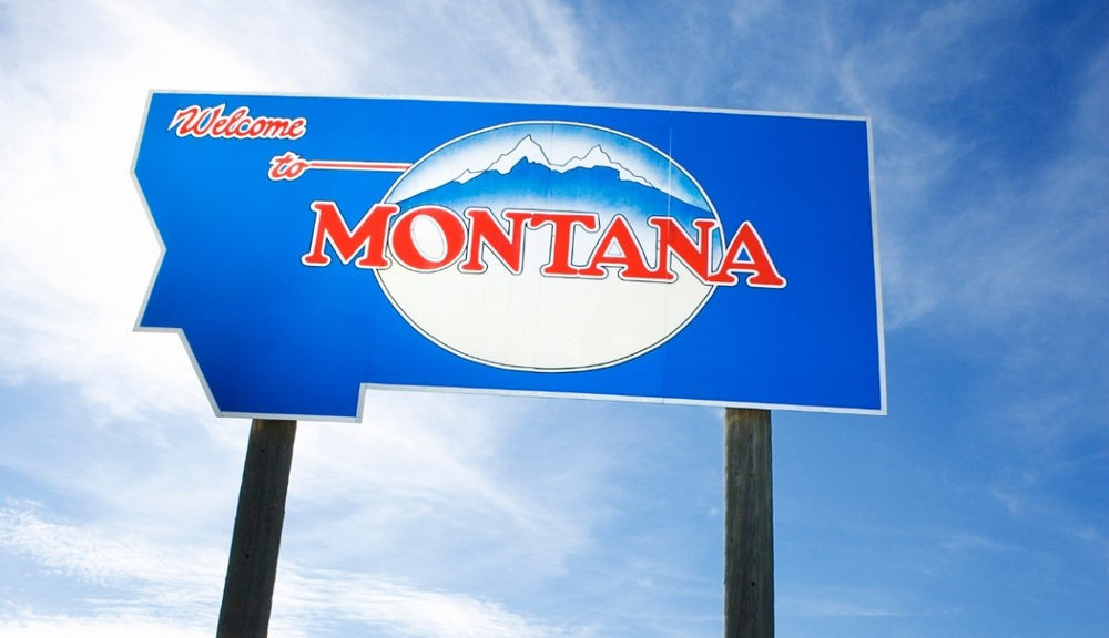 Is CBD Legal in Montana? What You Need to Know (2021)