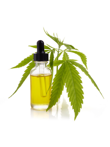 A bottle of CBD oil and the natural hemp material its made from