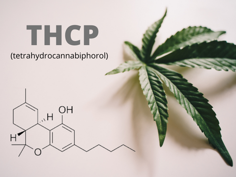 What is THCP? (Tetrahydrocannabiphorol Effects, Risks, & More)