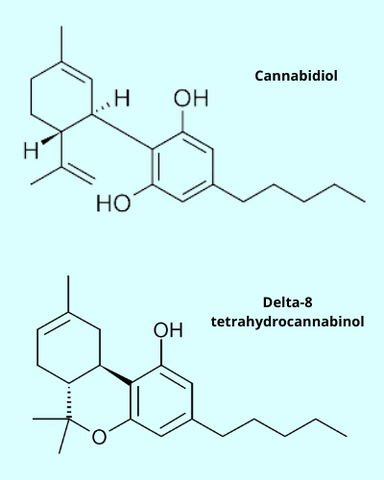 A model comparing the structure of the Delta-8 molecule and the CBD molecule. 