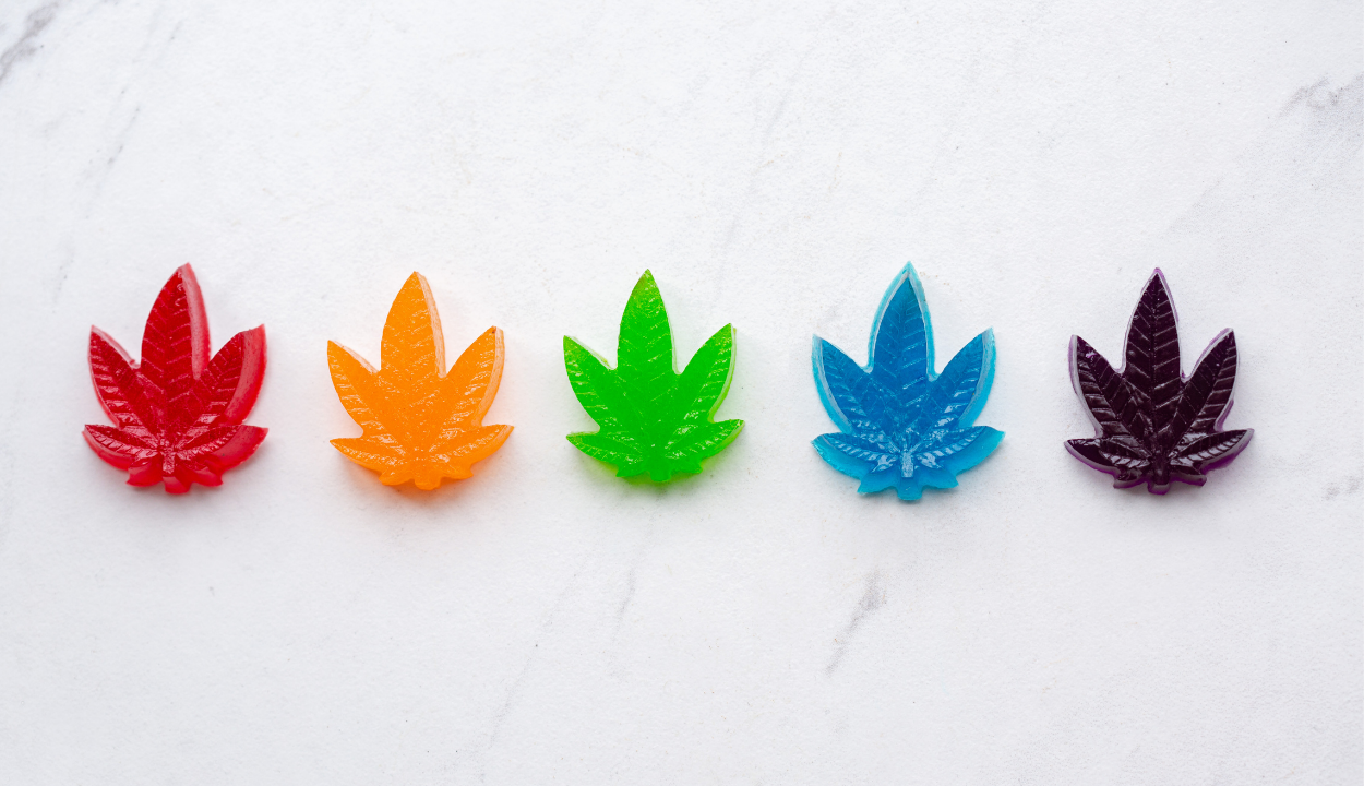 A row of rainbow colored gummies in the shape of weed leaves