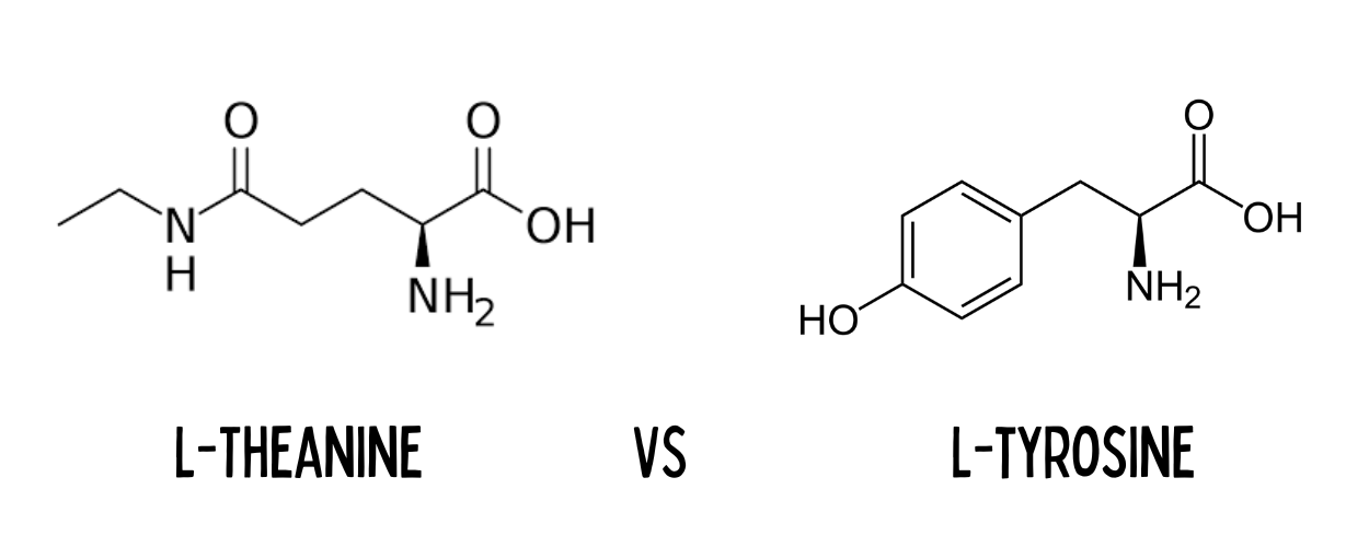 A model comparing the molecular structure of L-theanine vs L-tyrosine